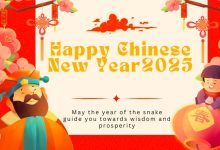 Happy Chinese new year 2025