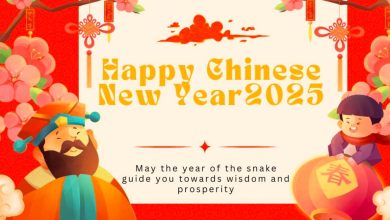 Happy Chinese new year 2025