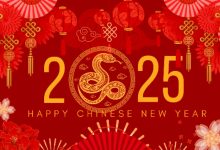 Happy chinese new year 2025 gif