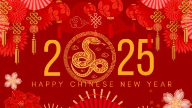 Happy chinese new year 2025 gif