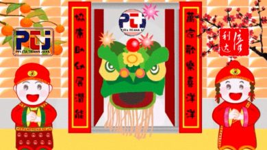 Happy lunar new year 2025 gif free