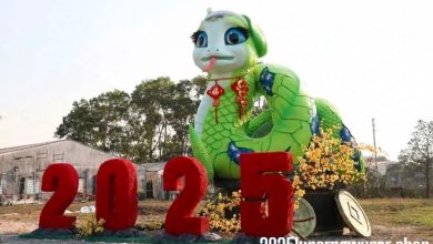 Happy lunar new year dragon wishes 2025