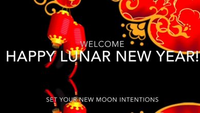 Happy lunar new year eve 2025 USA