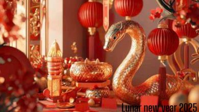 Lunar new year 2025 activities