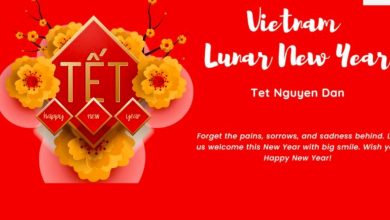 Lunar new year 2025 animal vietnam