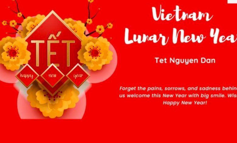 Lunar new year 2025 animal vietnam