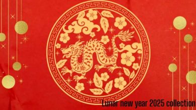 Lunar new year 2025 collection