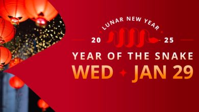 Lunar new year 2025 date