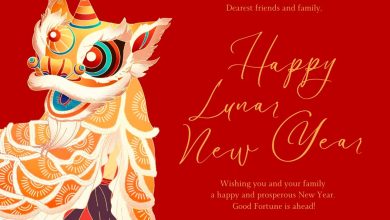 Welcome Happy Lunar New Year 2025