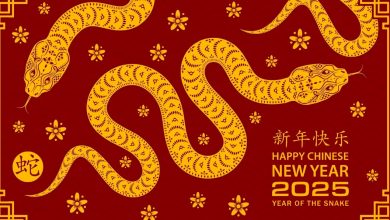 happy lunar new year chinese new year 2025