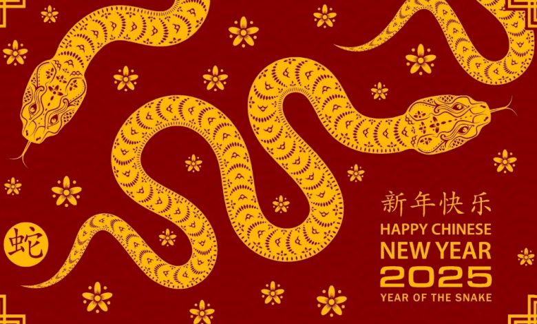 happy lunar new year chinese new year 2025